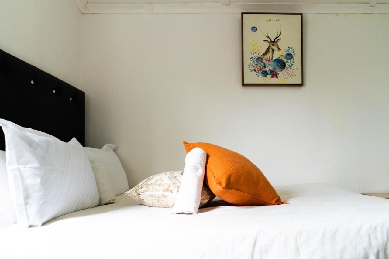 Albrine Lodge Bellville Buitenkant foto